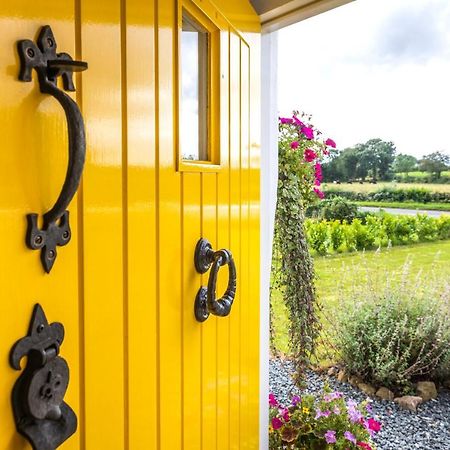 Katie'S Cottage Bellaghy المظهر الخارجي الصورة