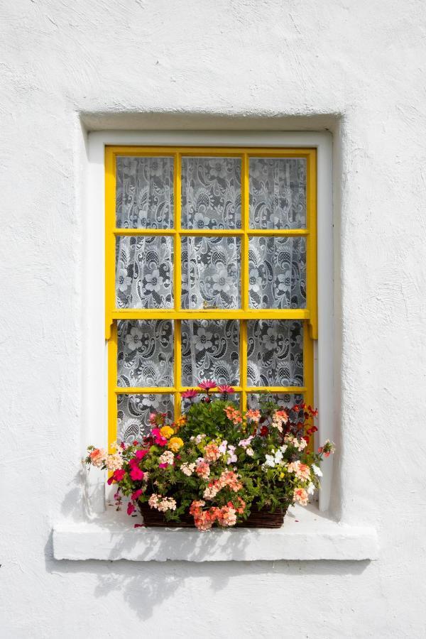 Katie'S Cottage Bellaghy المظهر الخارجي الصورة