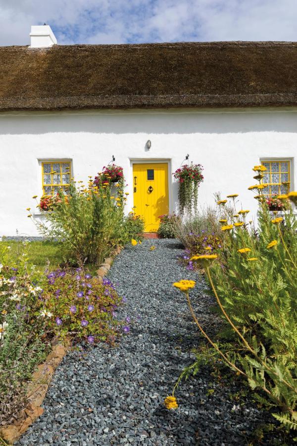 Katie'S Cottage Bellaghy المظهر الخارجي الصورة